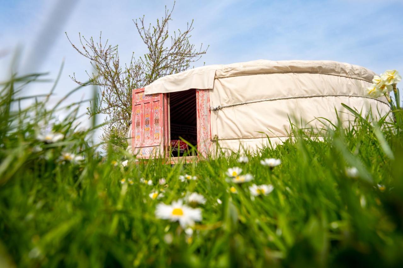 Logements Insolites A La Ferme - Yourte, Kota Ou Pod Farbus Exterior photo